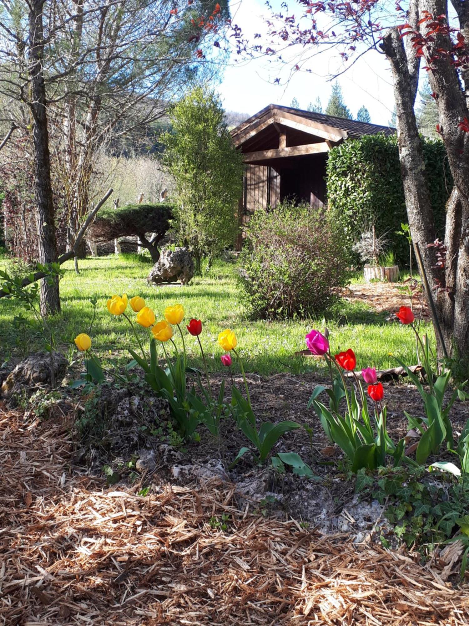 Les Chalets Du Roc Alzon Экстерьер фото